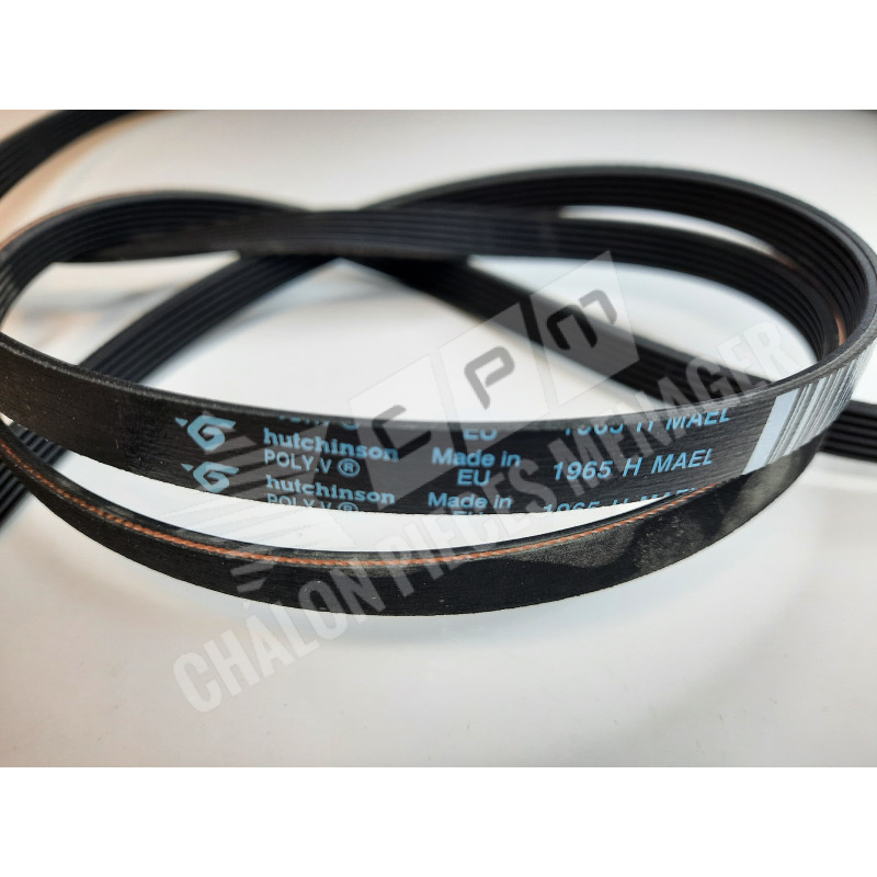 Courroie 1965H7