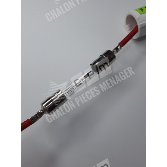 Fusible 1A L5KV