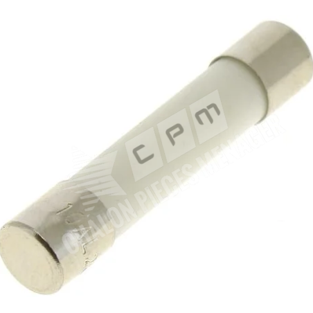 FUSIBLE TEMPORISE MICRO-ONDES 10A 6,35X32MM