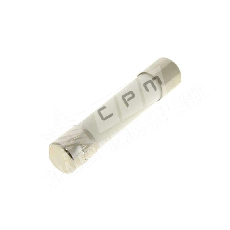 FUSIBLE TEMPORISE MICRO-ONDES 10A 6,35X32MM