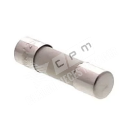 FUSIBLE TEMPORISE MICRO-ONDES 10A 5X20MM
