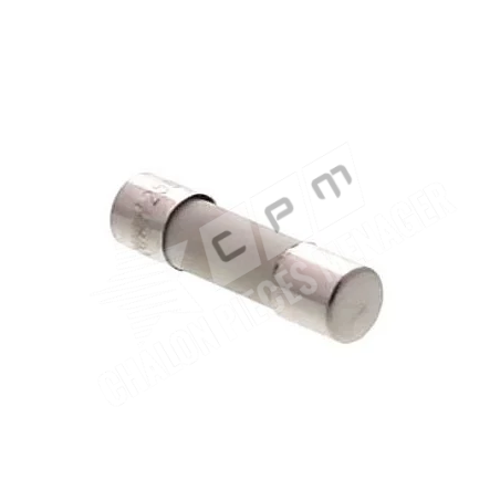 FUSIBLE TEMPORISE MICRO-ONDES 10A 5X20MM