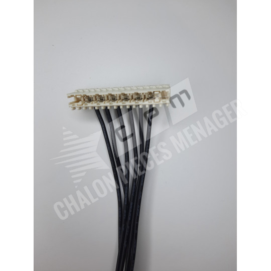 Cable moteur / Carte puissance TM31