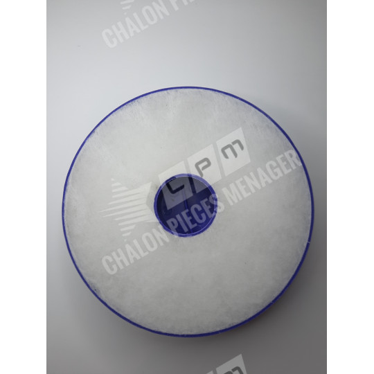 Filtre HEPA DYSON