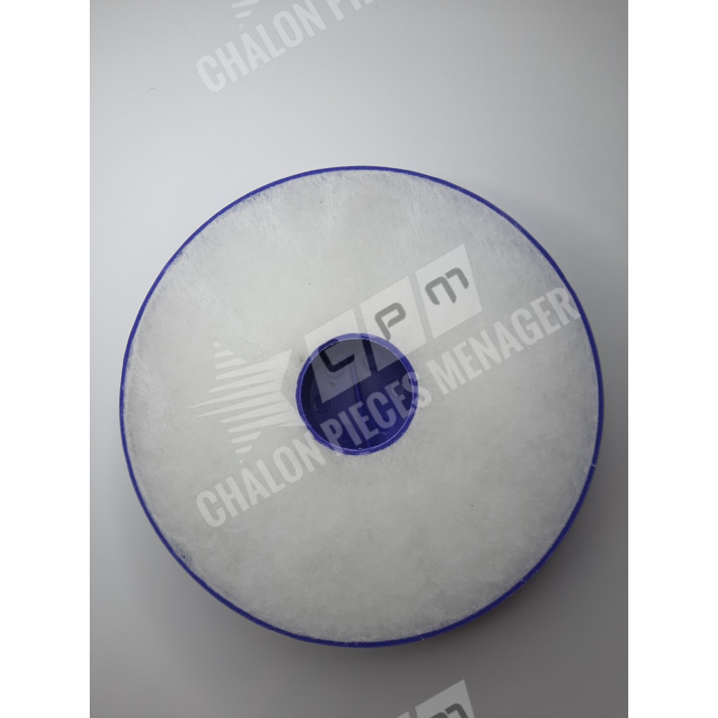 Filtre HEPA DYSON